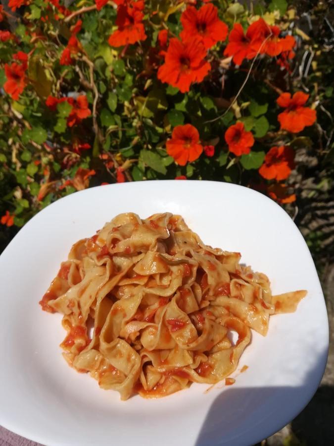 Agriturismo Terre Di Mare Bordighera فاليكروسيا المظهر الخارجي الصورة