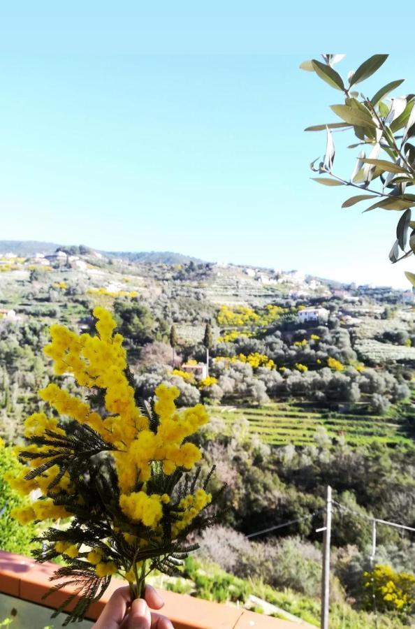 Agriturismo Terre Di Mare Bordighera فاليكروسيا المظهر الخارجي الصورة