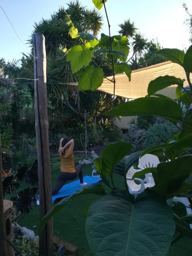 Agriturismo Terre Di Mare Bordighera فاليكروسيا المظهر الخارجي الصورة